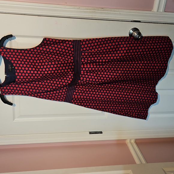 The Limited Large Red and Blue Polka Dot Dress - Picture 6 of 6